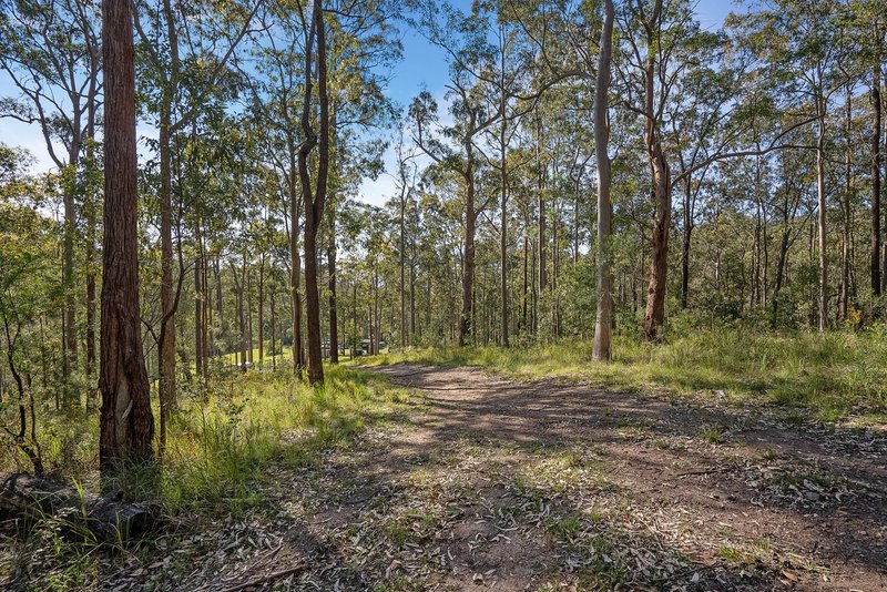 Photo - 1590 Mill Creek Road, Terreel Via , Stroud NSW 2425 - Image 28