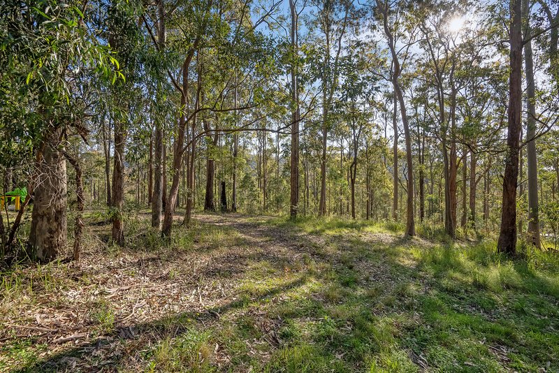 Photo - 1590 Mill Creek Road, Terreel Via , Stroud NSW 2425 - Image 29