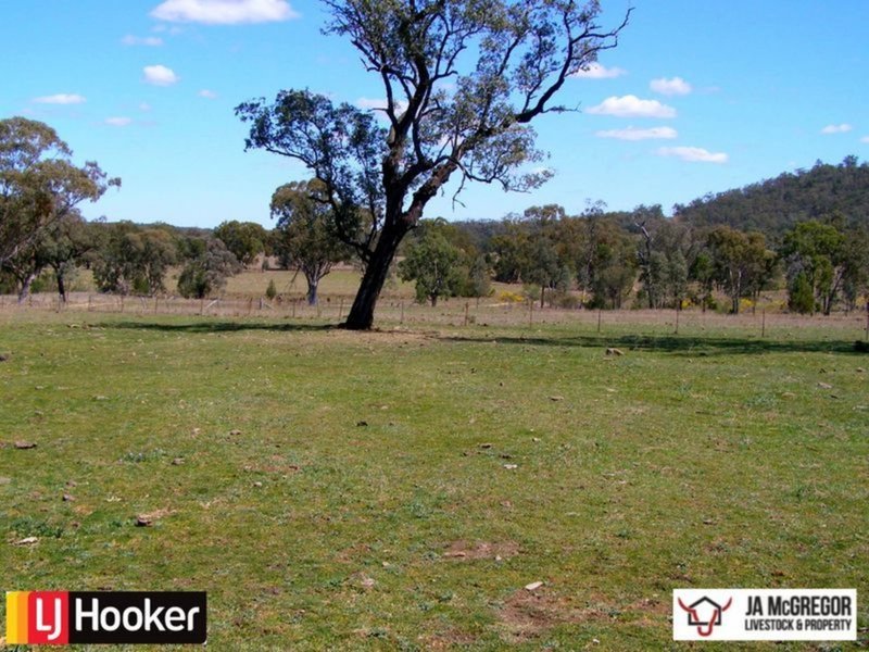 Photo - 1590 Oregan Road, Warialda NSW 2402 - Image 2