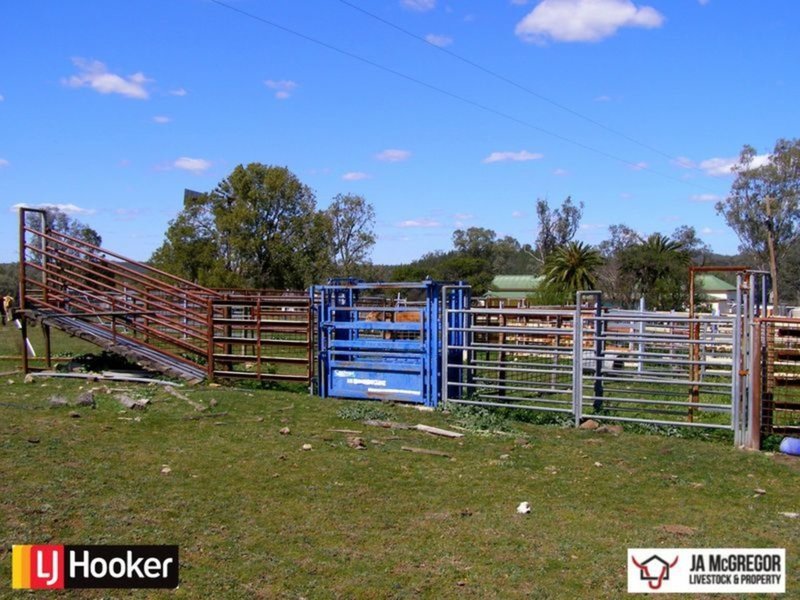 Photo - 1590 Oregan Road, Warialda NSW 2402 - Image 4