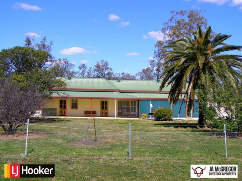 Photo - 1590 Oregan Road, Warialda NSW 2402 - Image 7