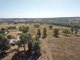 Photo - 15948 Oxley Highway, Coonabarabran NSW 2357 - Image 12