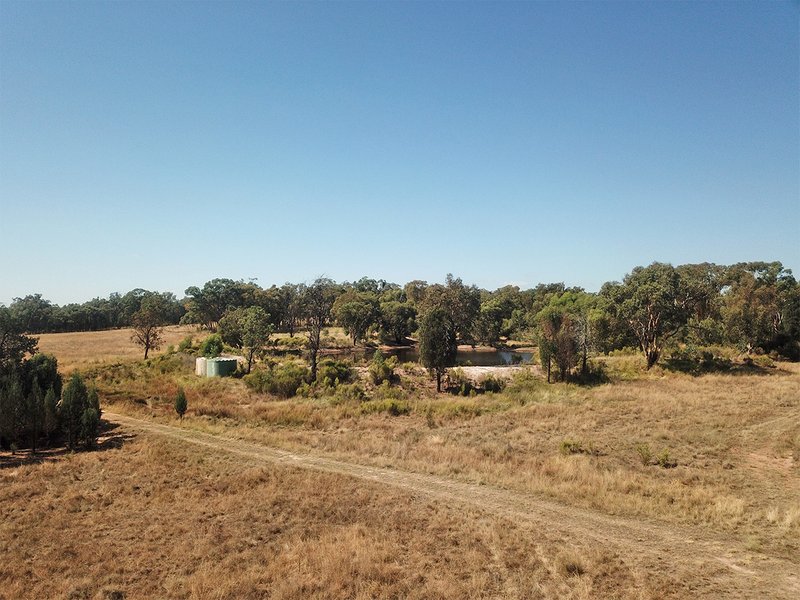 Photo - 15948 Oxley Highway, Coonabarabran NSW 2357 - Image 13