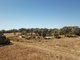 Photo - 15948 Oxley Highway, Coonabarabran NSW 2357 - Image 13