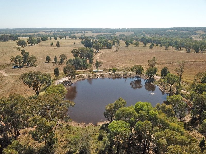 Photo - 15948 Oxley Highway, Coonabarabran NSW 2357 - Image 19