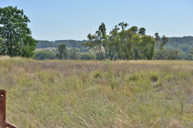 Photo - 15948 Oxley Highway, Coonabarabran NSW 2357 - Image 28