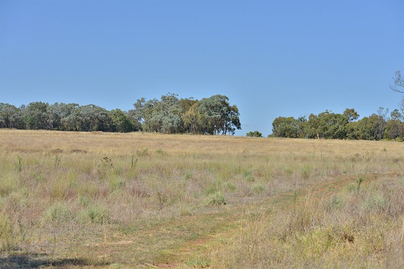 Photo - 15948 Oxley Highway, Coonabarabran NSW 2357 - Image 29