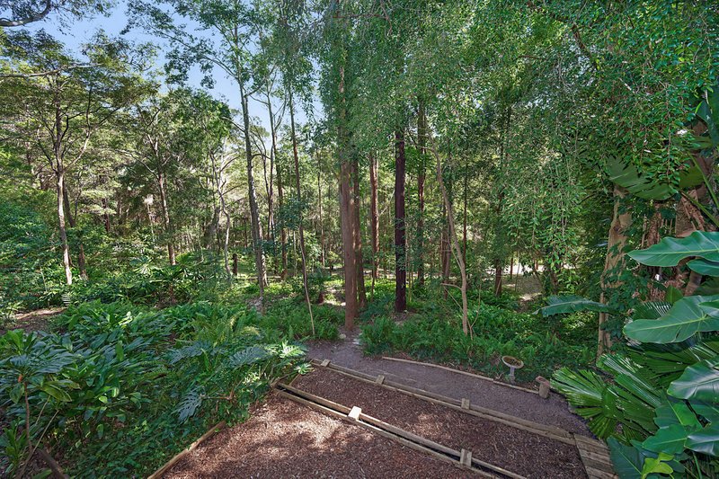 Photo - 159B Lindsay Road, Buderim QLD 4556 - Image 17