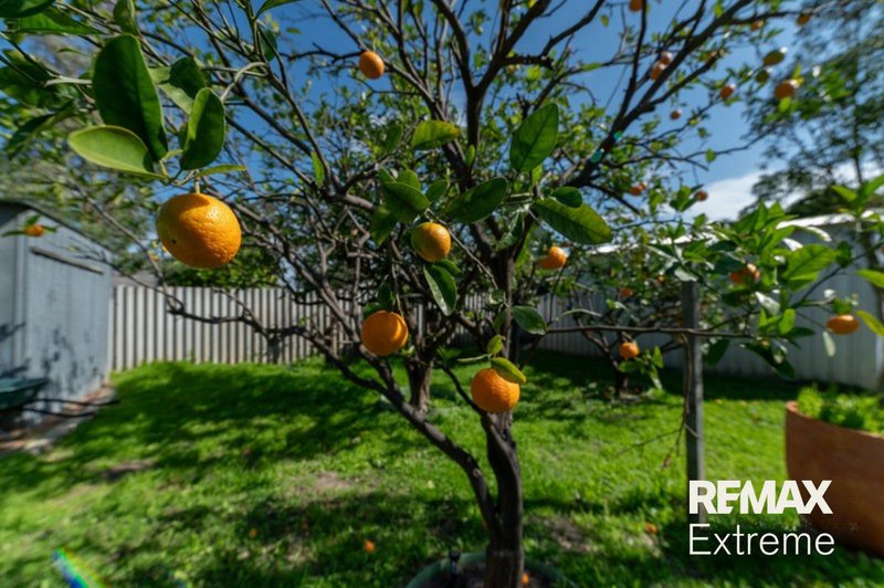 Photo - 15A Lowanna Way, Armadale WA 6112 - Image 25