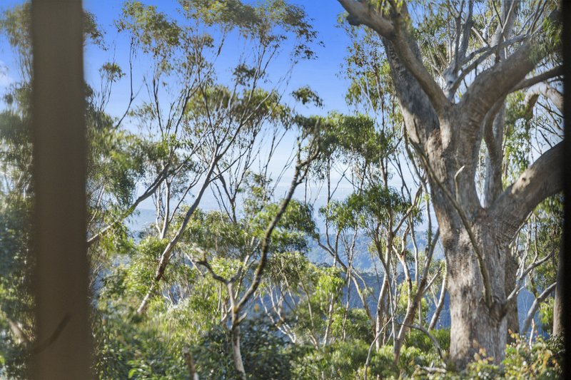 Photo - 15B Old School Road, Springbrook QLD 4213 - Image 4