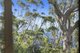 Photo - 15B Old School Road, Springbrook QLD 4213 - Image 4