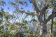 Photo - 15B Old School Road, Springbrook QLD 4213 - Image 15