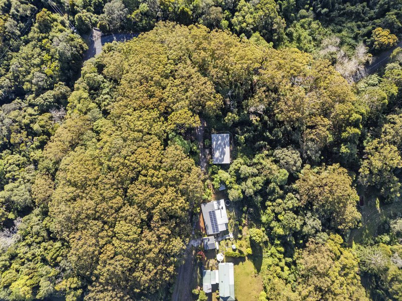 Photo - 15B Old School Road, Springbrook QLD 4213 - Image 17