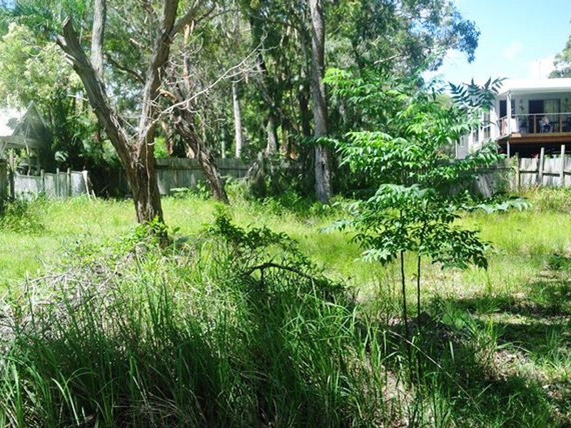 Photo - 16 Alexander Street, Macleay Island QLD 4184 - Image 4