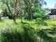 Photo - 16 Alexander Street, Macleay Island QLD 4184 - Image 4