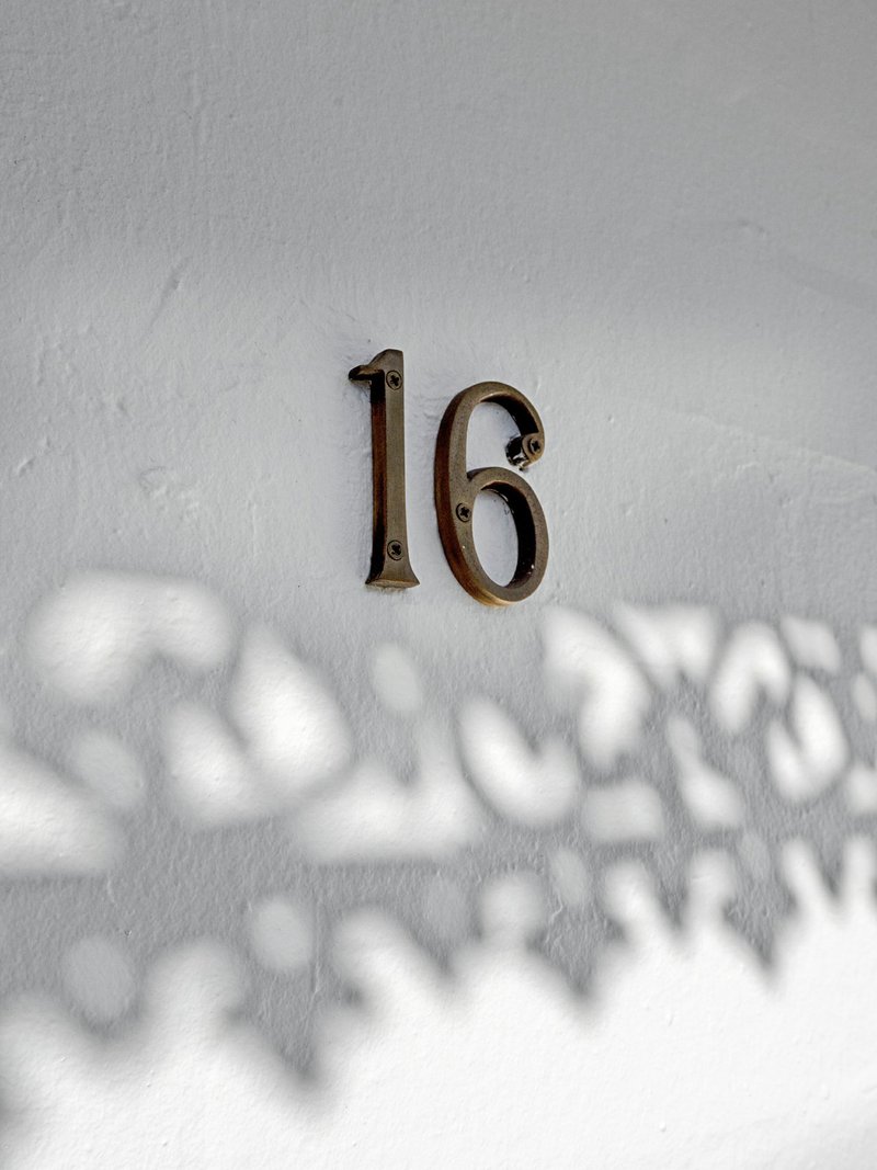 Photo - 16 Alice Street, Newtown NSW 2042 - Image 3