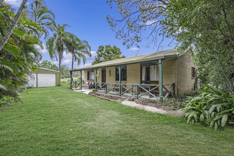 Photo - 16 Avala Crescent, Elimbah QLD 4516 - Image 3