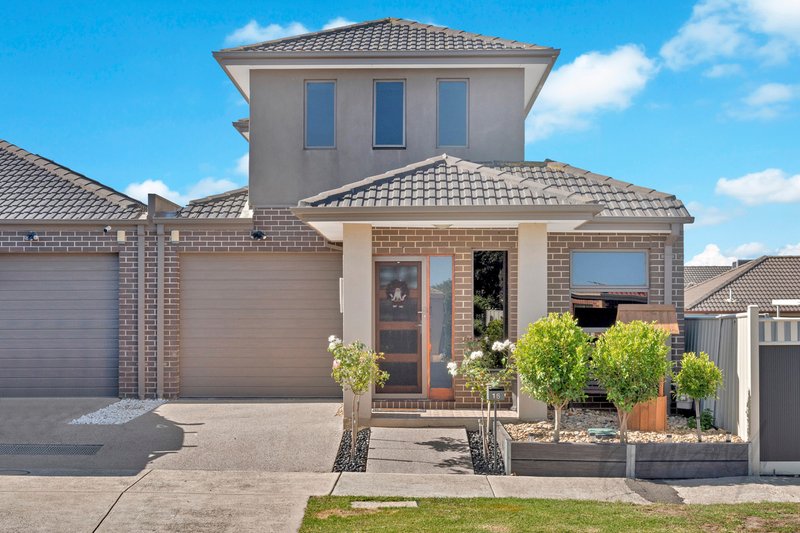 16 Ballybunion Avenue, Craigieburn VIC 3064