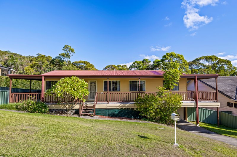 Photo - 16 Bandalong Street, Toronto NSW 2283 - Image 1