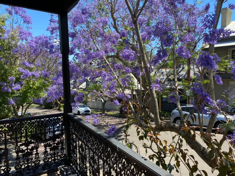 Photo - 16 Bay Street, Birchgrove NSW 2041 - Image 8