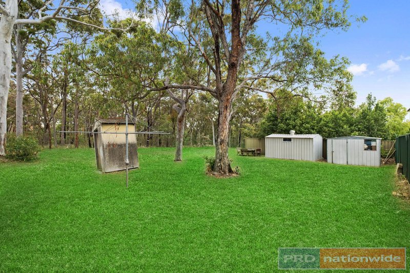 Photo - 16 Bernard Road, Padstow Heights NSW 2211 - Image 5