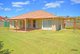 Photo - 16 Birkdale Court, Banora Point NSW 2486 - Image 13