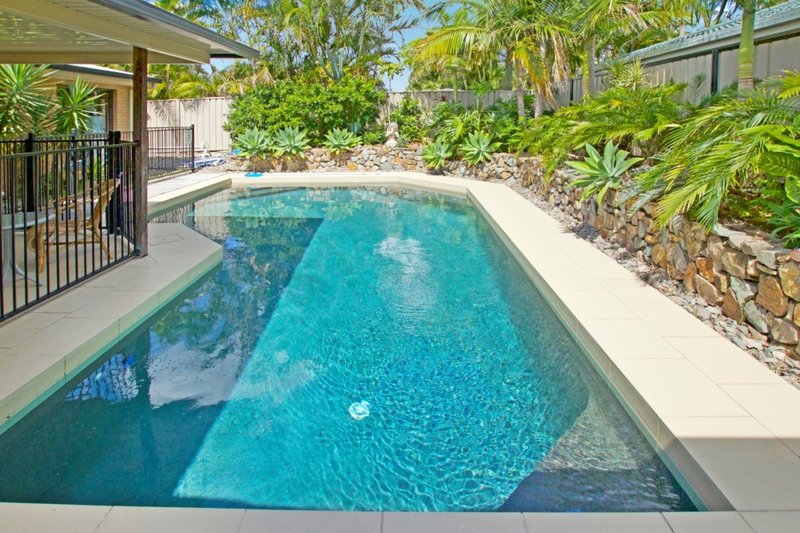 Photo - 16 Blackwood Street , Maroochydore QLD 4558 - Image 8