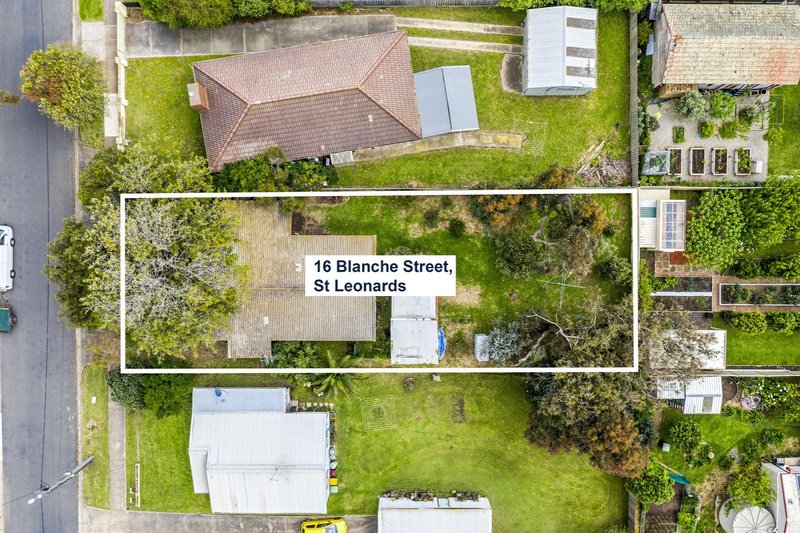 16 Blanche Street, St Leonards VIC 3223