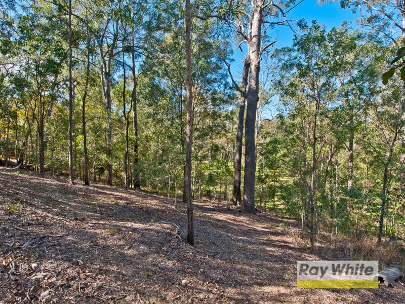 Photo - 16 Bracken Court, Cashmere QLD 4500 - Image 10