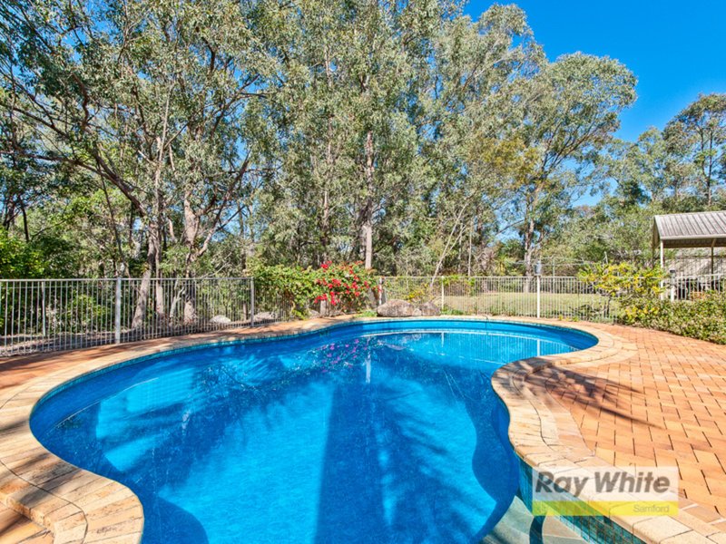 Photo - 16 Bracken Court, Cashmere QLD 4500 - Image 12