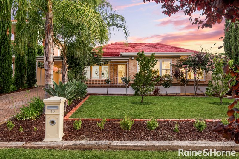 16 Broughton Avenue, Mitcham SA 5062