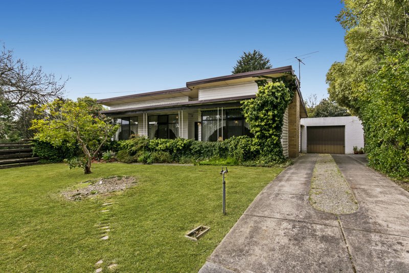 16 Burlock Avenue, Ringwood North VIC 3134