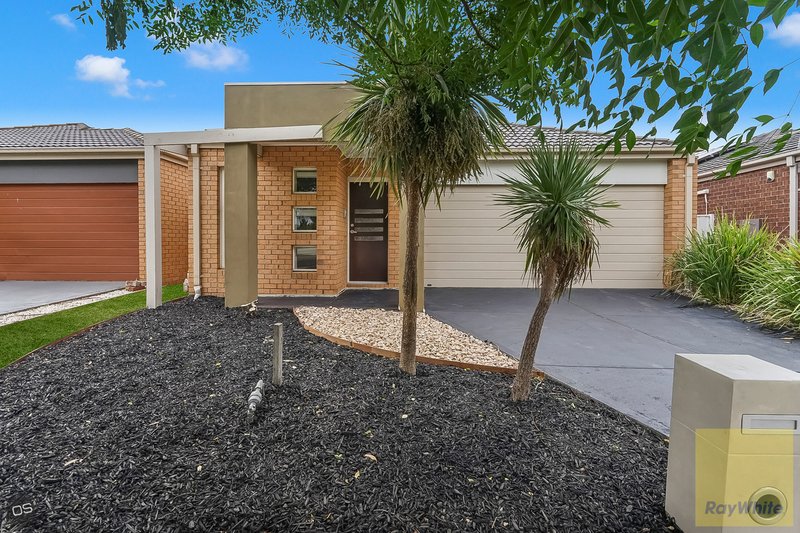 Photo - 16 Camphora Street, Tarneit VIC 3029 - Image 2