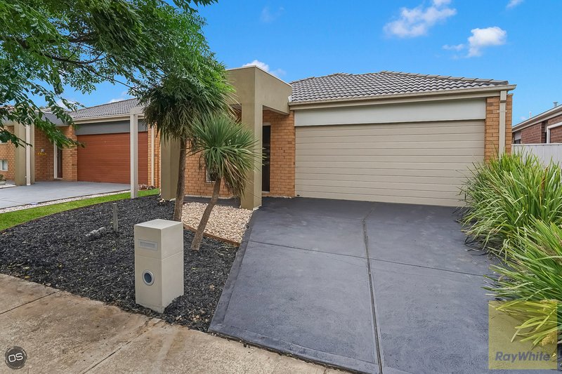 Photo - 16 Camphora Street, Tarneit VIC 3029 - Image 3