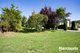 Photo - 16 Caveside Road, Mole Creek TAS 7304 - Image 9