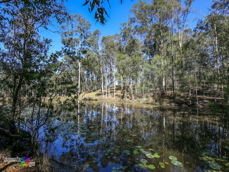 Photo - 16 Ces Rivers Road, Tamaree QLD 4570 - Image 5