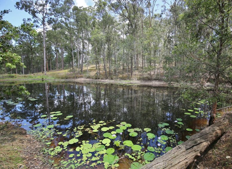 Photo - 16 Ces Rivers Road, Tamaree QLD 4570 - Image 6