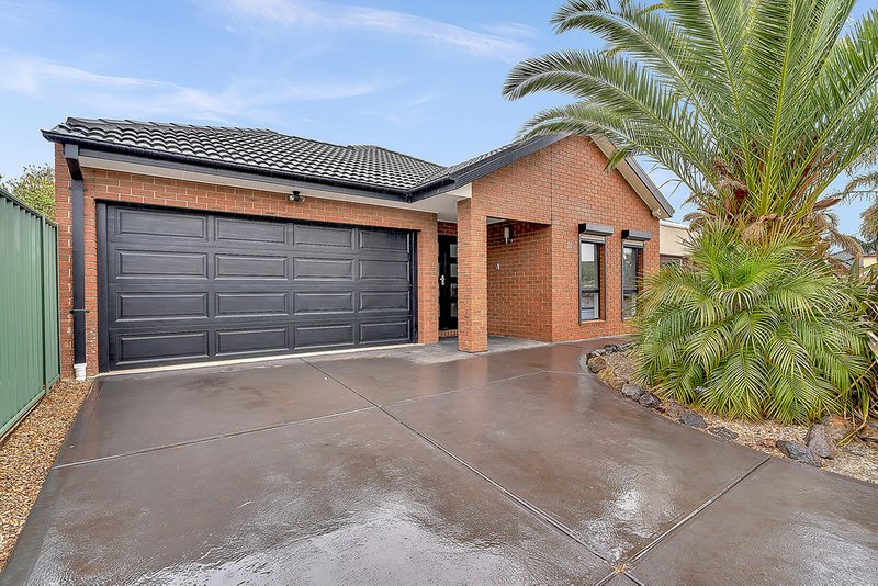 16 Chelsworth Loop, Craigieburn VIC 3064