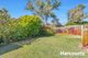 Photo - 16 Chiton Place, Heathridge WA 6027 - Image 16