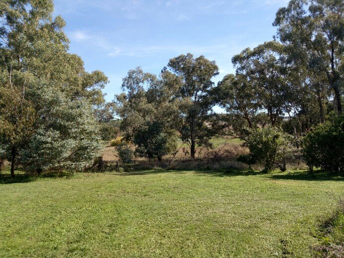 Photo - 16 Church Street, Cudal NSW 2864 - Image 4