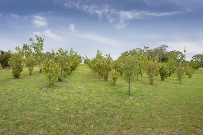 Photo - 16.. Clariville Street, Mittagong NSW 2575 - Image 10