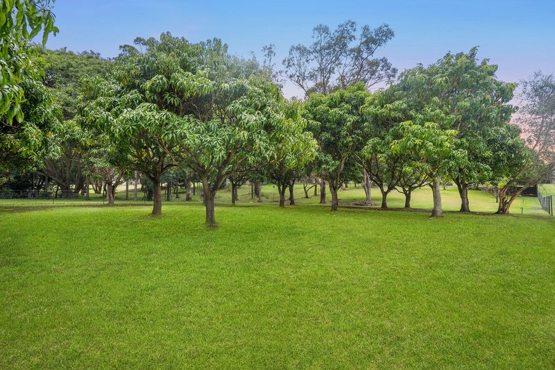 Photo - 16 Cobalt Drive, Bethania QLD 4205 - Image 23