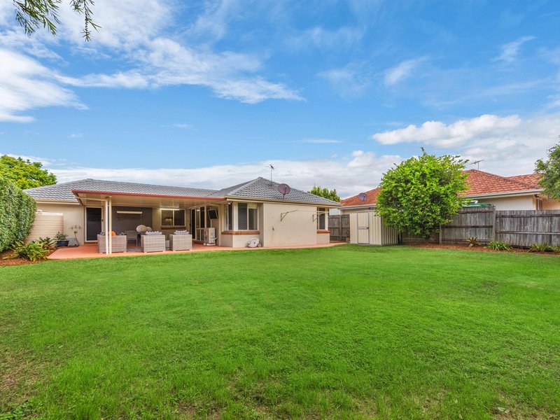 Photo - 16 Cooper Place, Carseldine QLD 4034 - Image 15