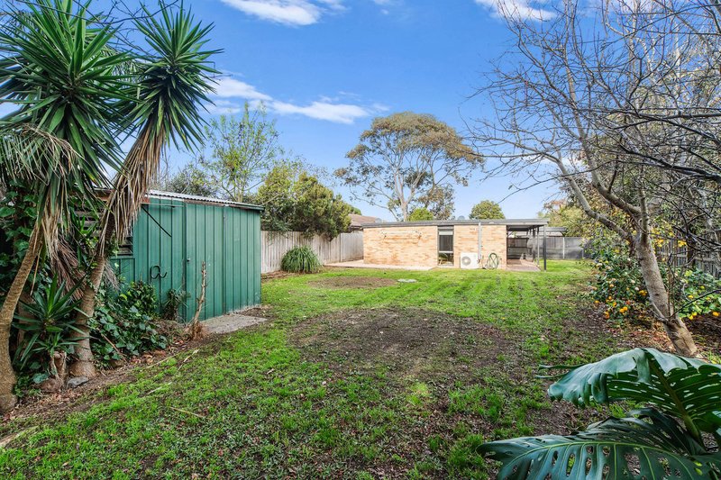 Photo - 16 Craig Avenue, Tyabb VIC 3913 - Image 18