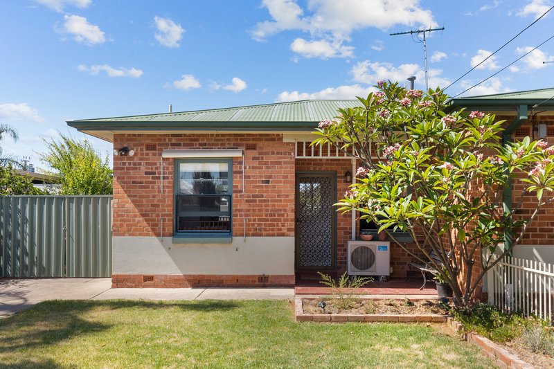 Photo - 16 Dalby Avenue, Morphettville SA 5043 - Image 11