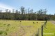 Photo - 16 Delantys Road, Birralee TAS 7303 - Image 23