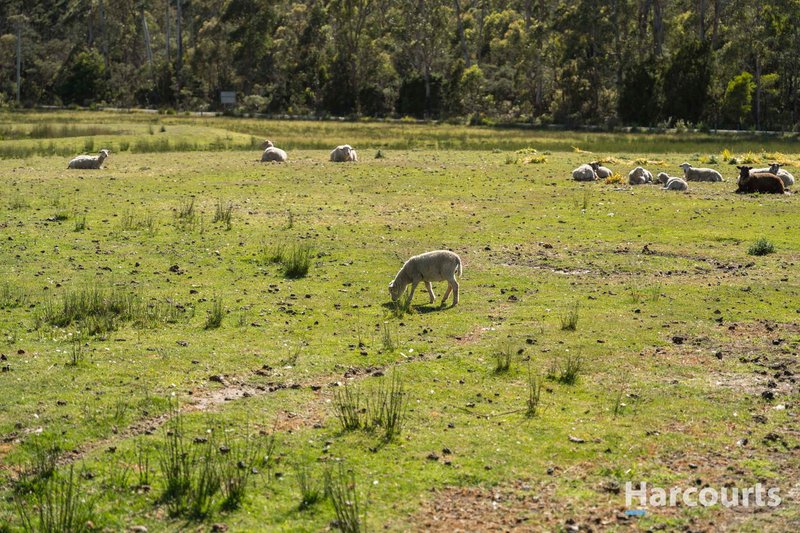 Photo - 16 Delantys Road, Birralee TAS 7303 - Image 13