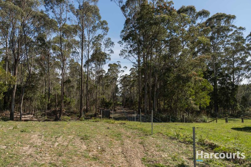 Photo - 16 Delantys Road, Birralee TAS 7303 - Image 18