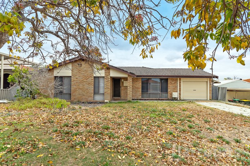 16 Deyoung Road, Craigie WA 6025