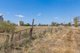 Photo - 16 Donely Street, Oakey QLD 4401 - Image 4